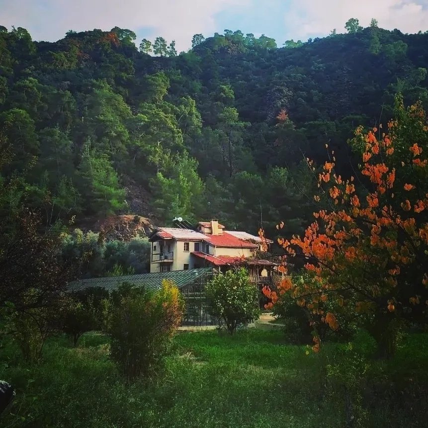 Pastoral Vadi