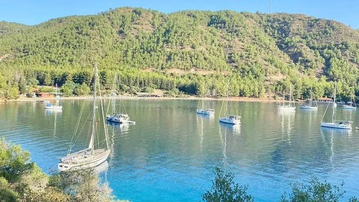 Dalaman
