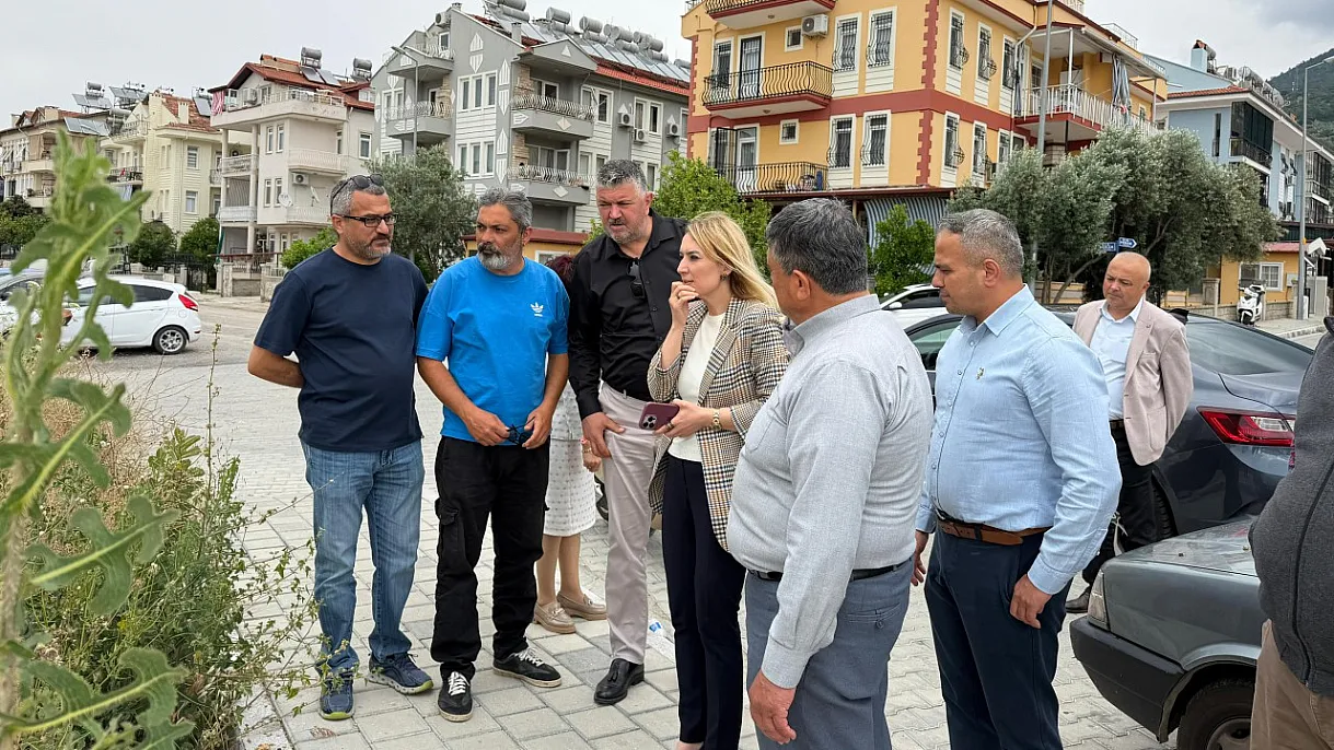 Fethiye ve Seydikemer'de Sağlık Hizmetleri Yerinde İncelendi