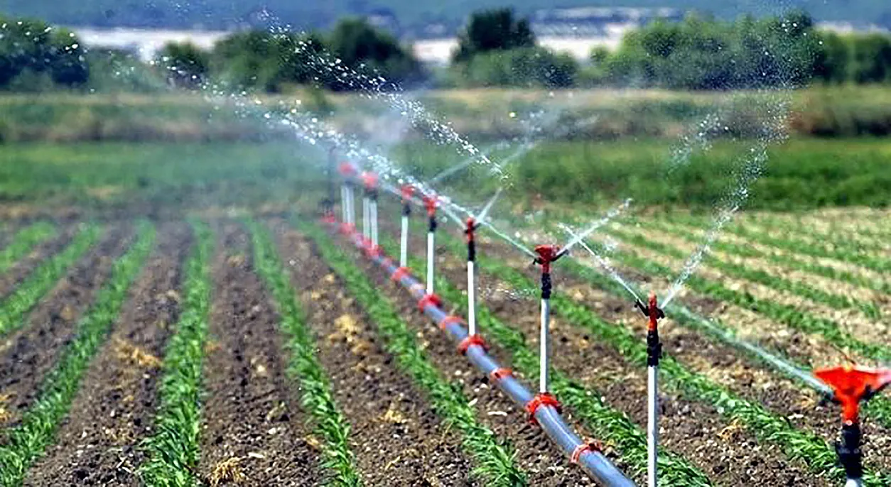 Kırsal Kalkınma Yatırımları Desteklemelerinde başvuru süresi 30 Haziran'a uzatıldı
