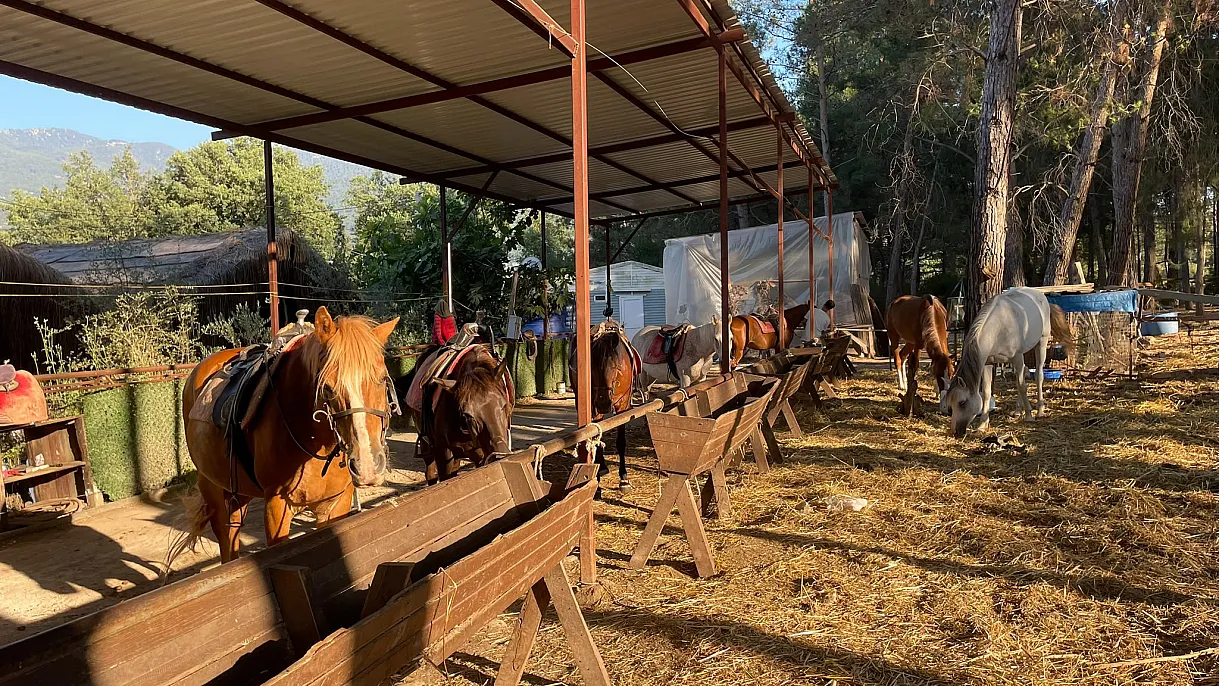 Meaningful Event from Fethiye Autism Association: Individuals with Autism Met with Horses and Nature