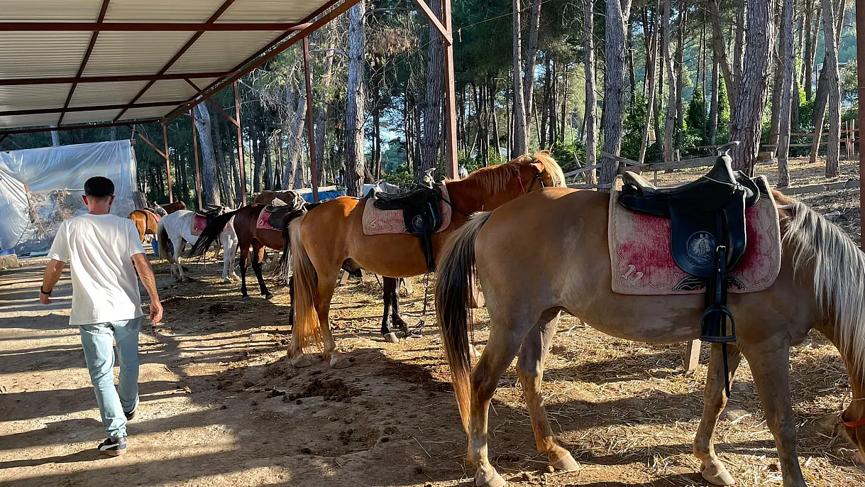 Meaningful Event from Fethiye Autism Association: Individuals with Autism Met with Horses and Nature