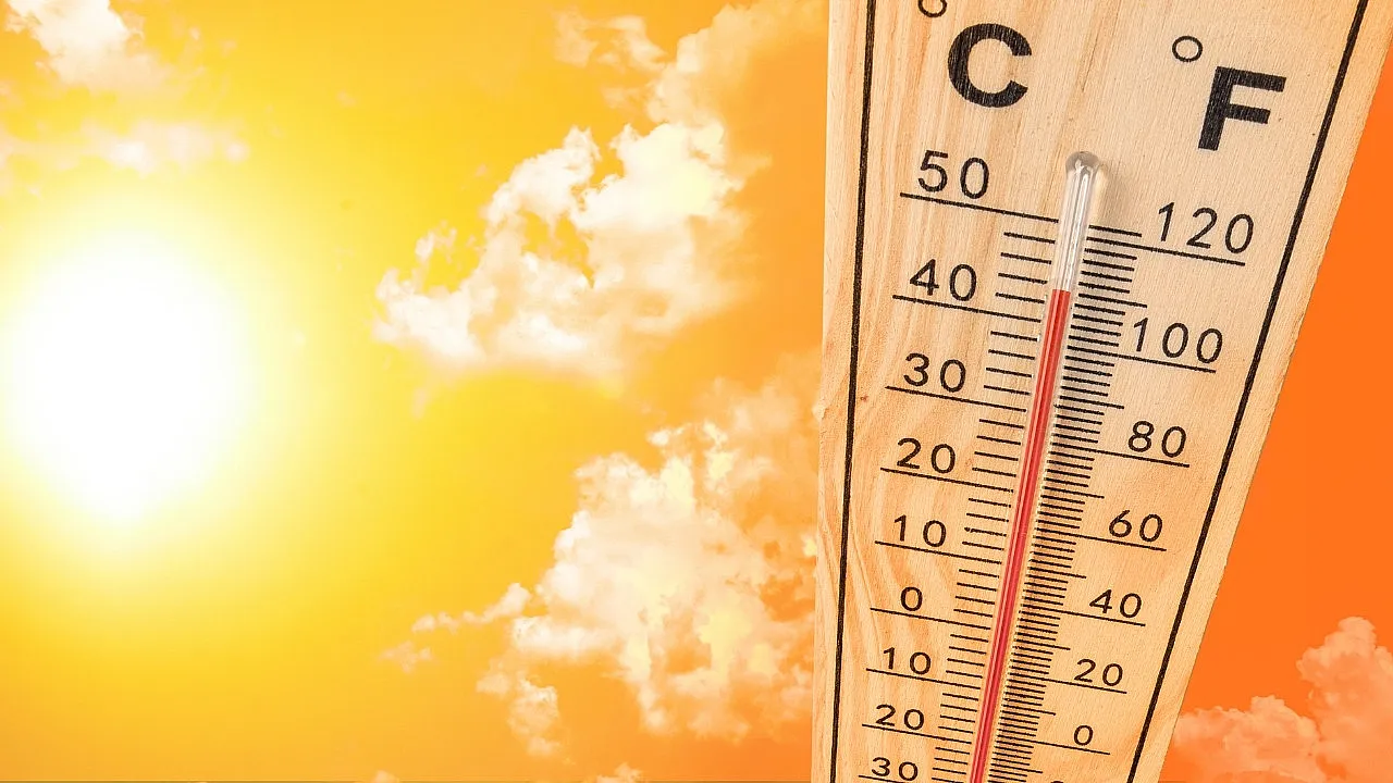 June 25, 2026 Muğla District by District Weather Forecast