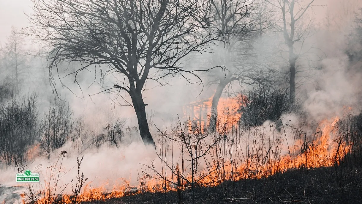 Orman Yangını Riskine Dikkat