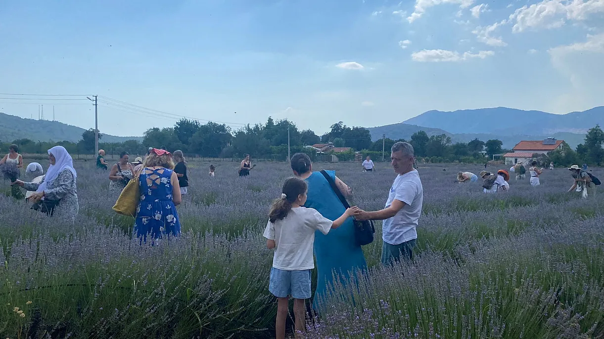 From lavender to production, from production to added value in Fethiye