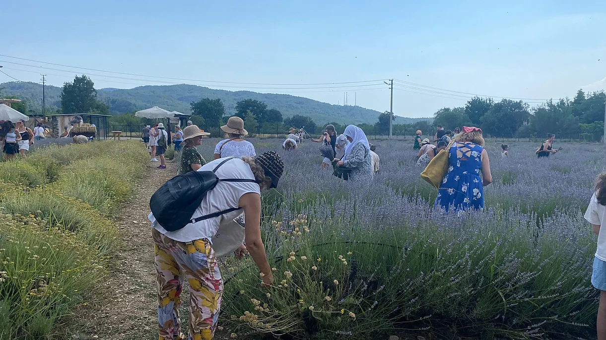 From lavender to production, from production to added value in Fethiye