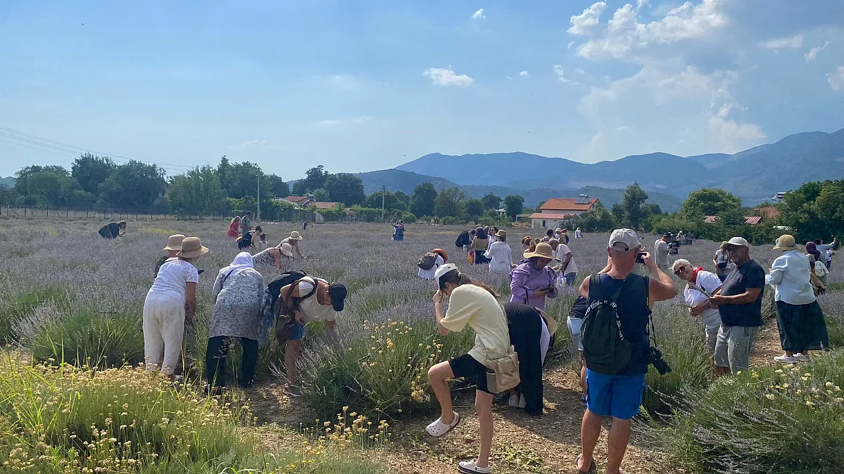 From lavender to production, from production to added value in Fethiye