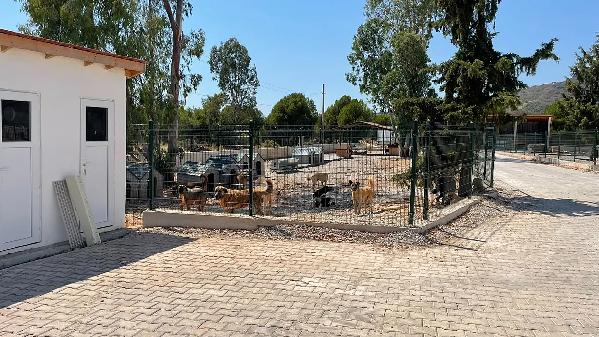 Fethiye Belediyesi'nden sokak hayvanlarına modern yaşam alanı