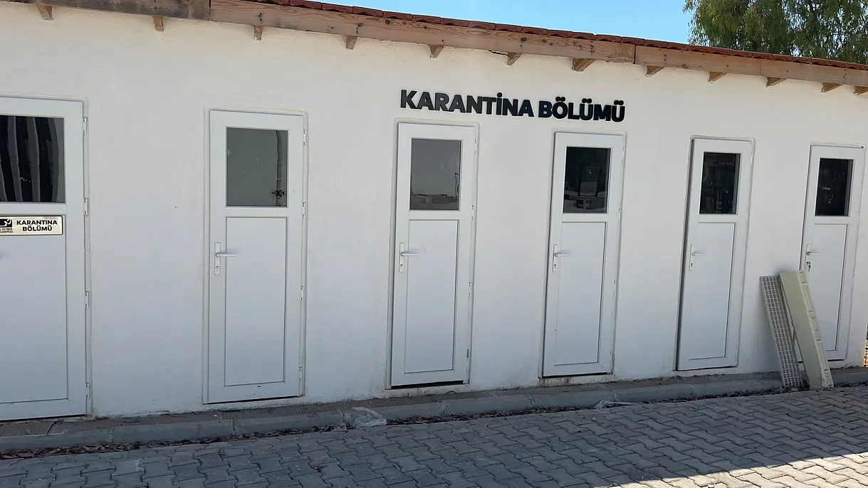 Fethiye Belediyesi'nden sokak hayvanlarına modern yaşam alanı