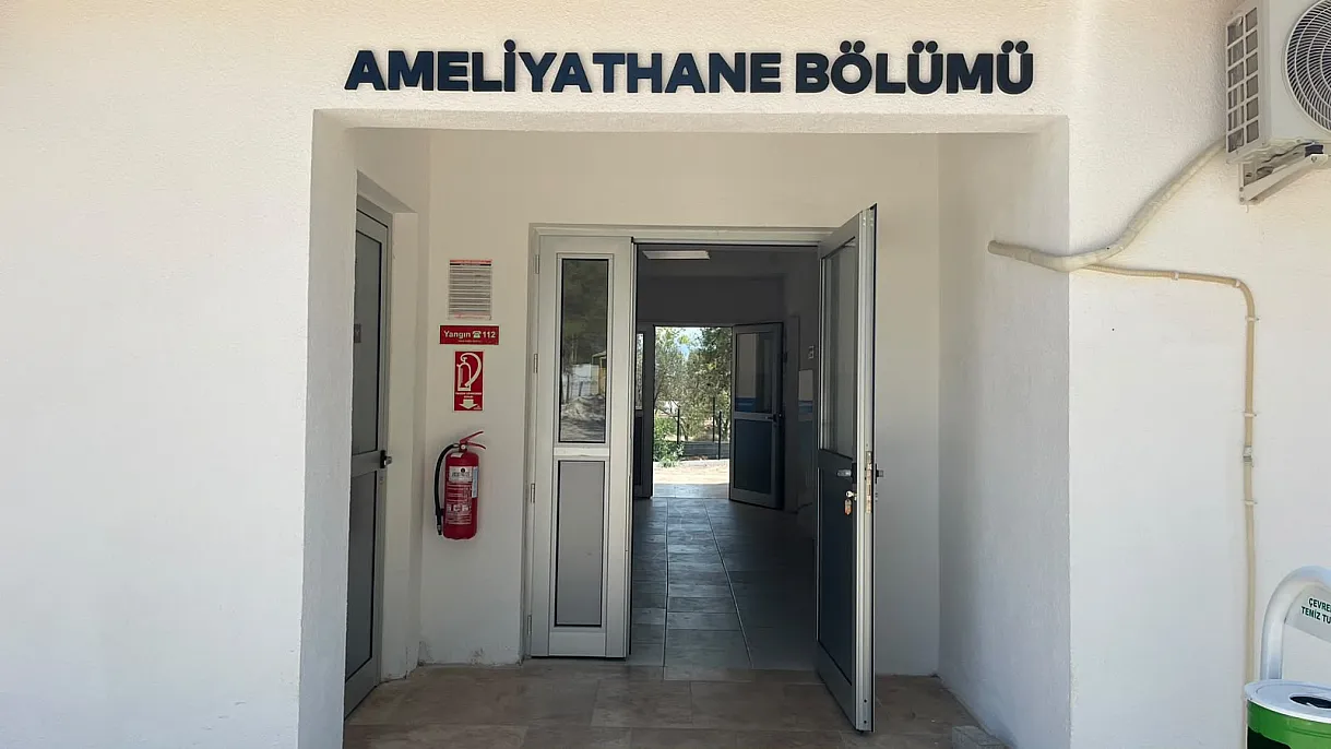 Fethiye Belediyesi'nden sokak hayvanlarına modern yaşam alanı