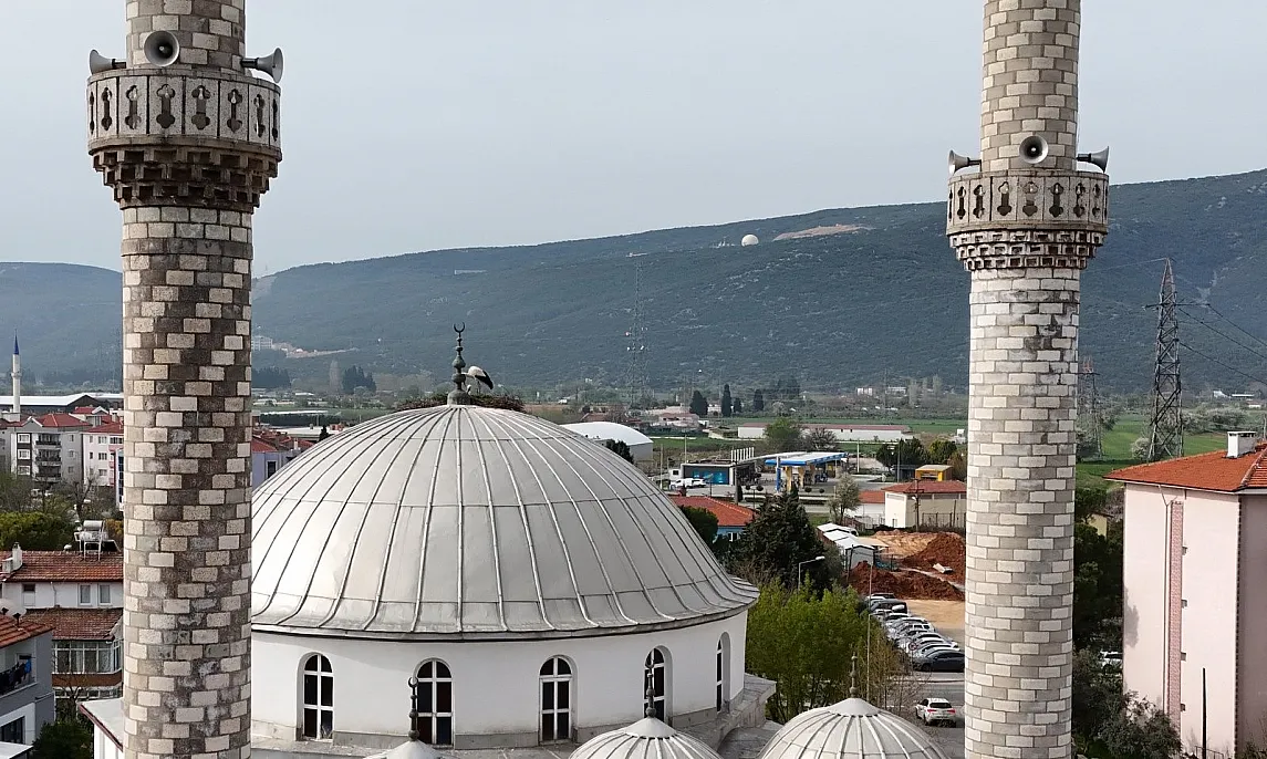 Her yıl olduğu gibi bu yılda leylekler, caminin kubbesindeki yuvalarına yerleşti