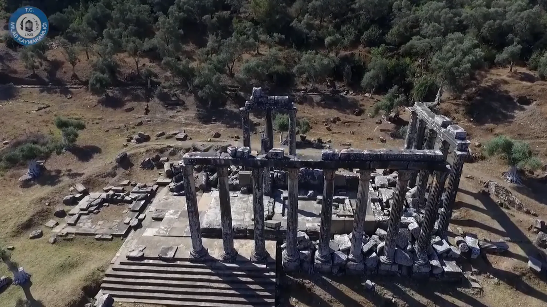 Neden bu kadar ilgi görüyor?