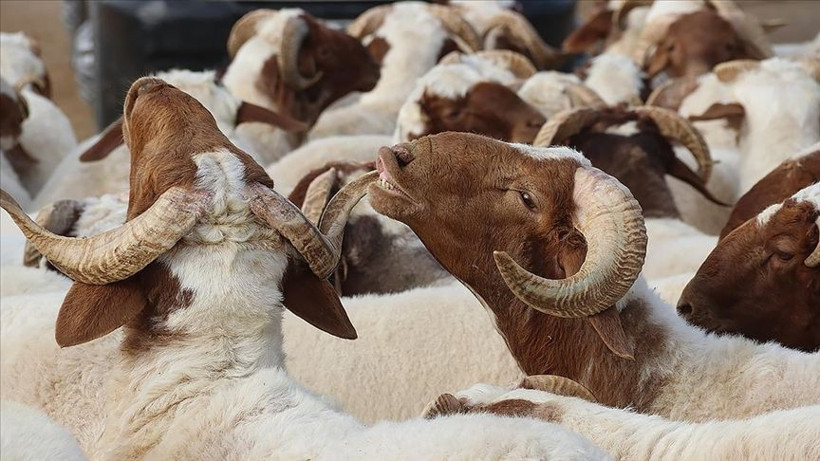 Bakan Ersoy açıkladı: Bayram tatili 9 gün oldu mu?