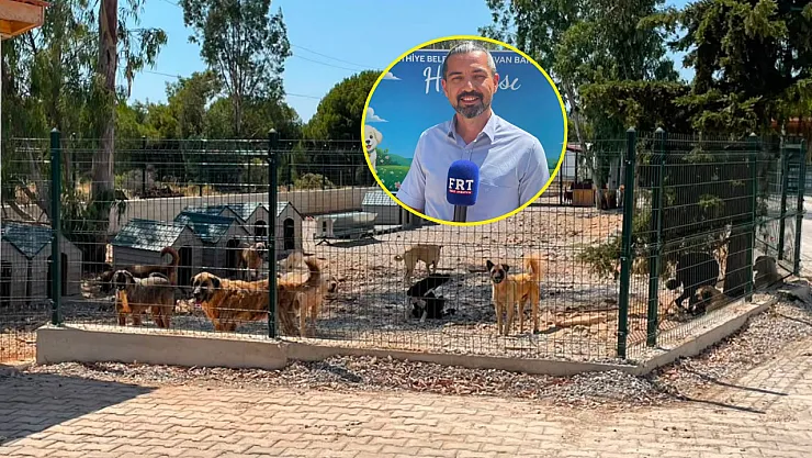 Modern living space for street animals from Fethiye Municipality