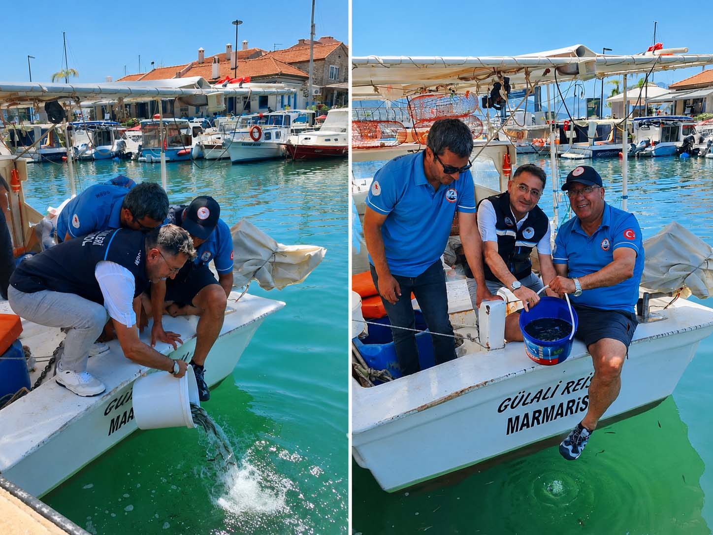 Marmaris'te 11 Bin Yavru Levrek Denizle Buluştu