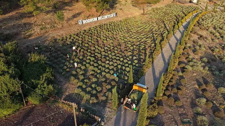 The Second Term of Bodrum Municipality's Agriculture Camp Has Been Completed