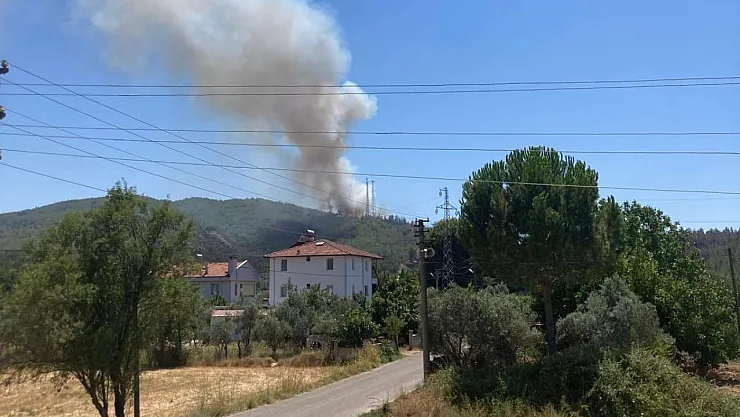 Fire under control in Fethiye flares up again