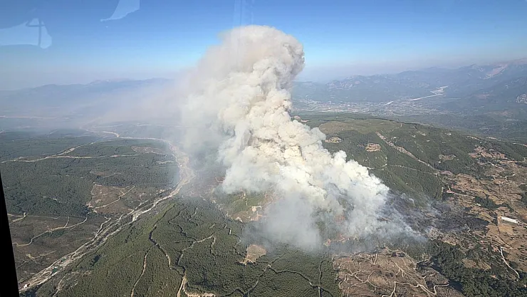 Fire that started in the agricultural area in Seydikemer spread to the forest