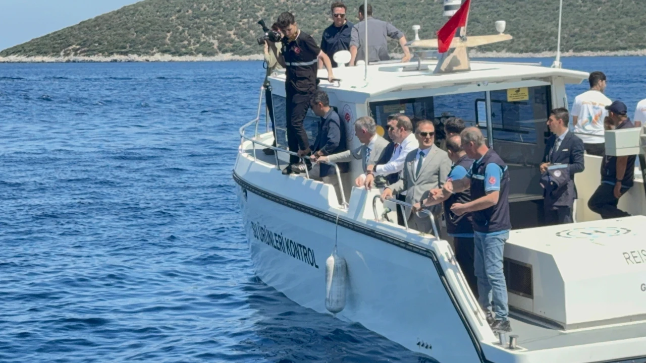 Muğla Valisi Akbıyık'ı denizde yunuslar karşıladı