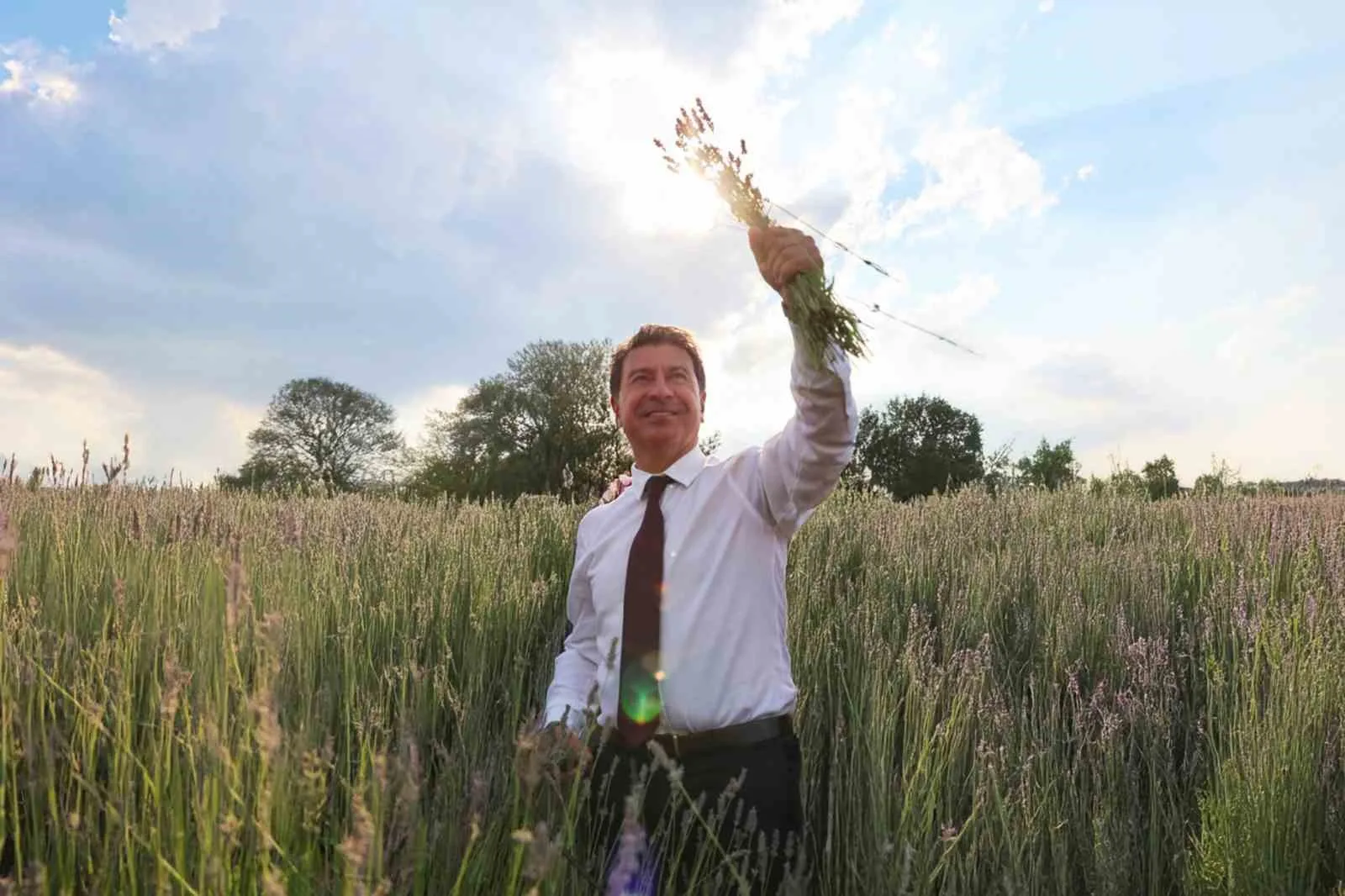 Lavender harvest begins in the Scent Valley