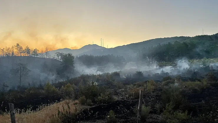 Tough fight with flames continues in Fethiye Yeşilüzümlü