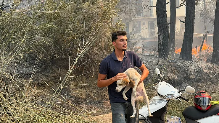 Seydikemer'de tahliyeler sürüyor: Dereköy'de evler ve hayvanlar güvenli alanlara taşınıyor