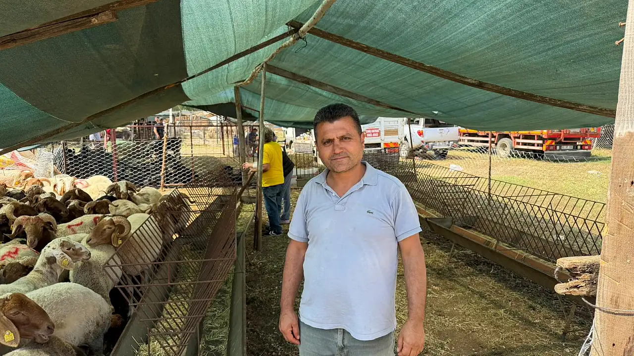 Fethiye'de Kurban Pazarı Hareketlenmeye Başladı