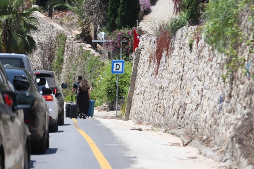 Yol1-1