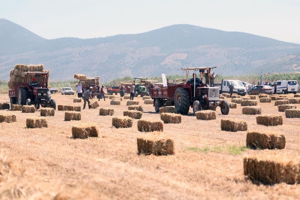 Muğla Büyükşehir’den Milaslı Üreticilere Kaba Yem Ve Balık Yemi Desteği (2)