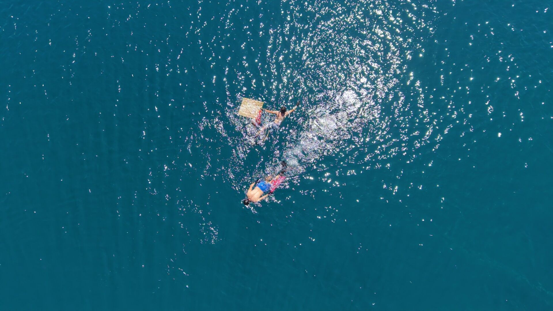 Bodrum Sea Cleaning (5)