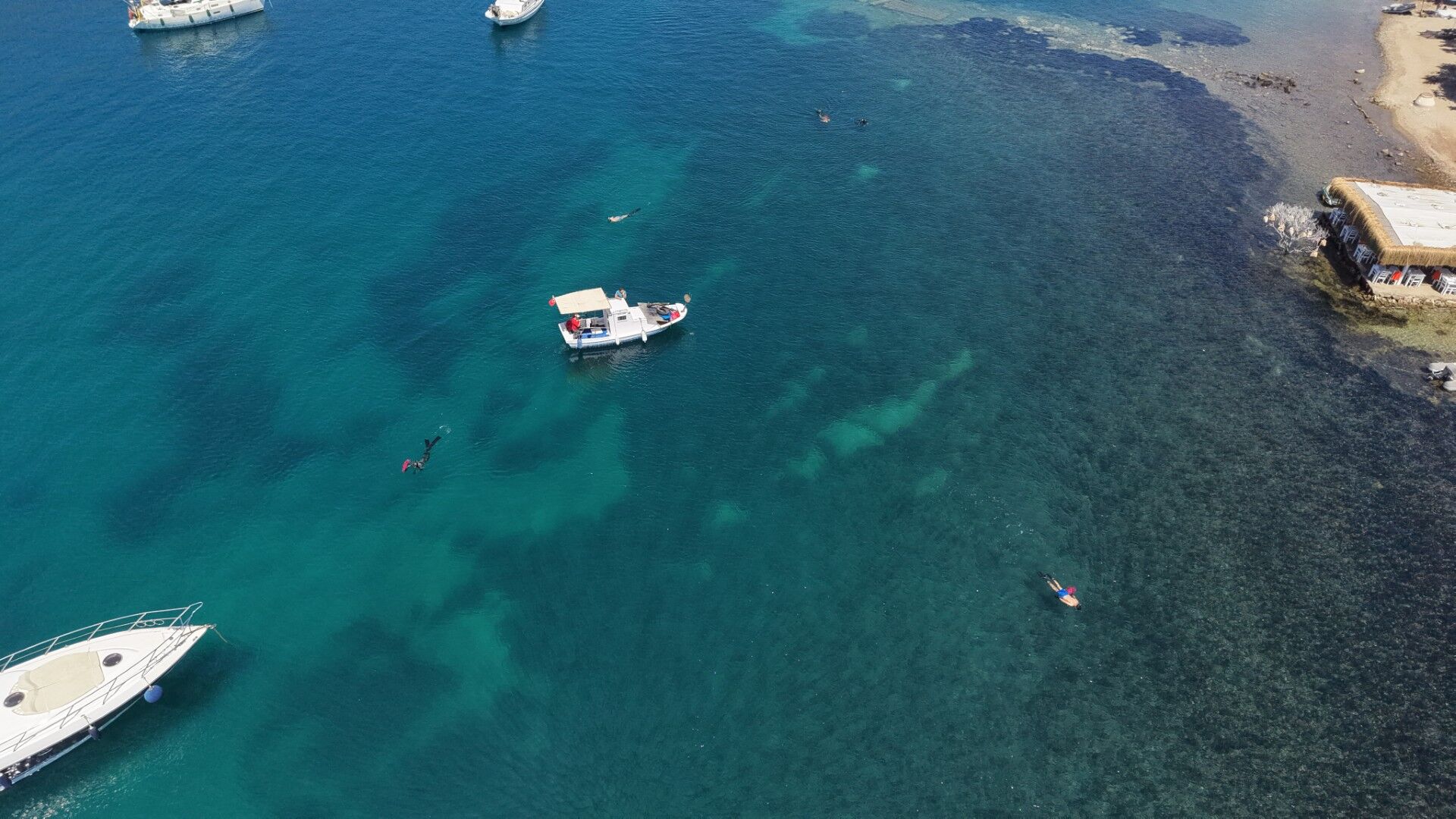 Bodrum Sea Cleaning (10)