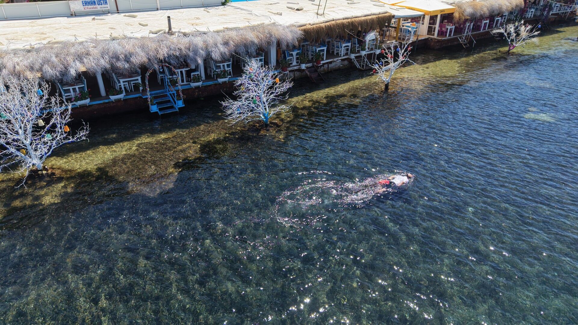 Bodrum Sea Cleaning (9)