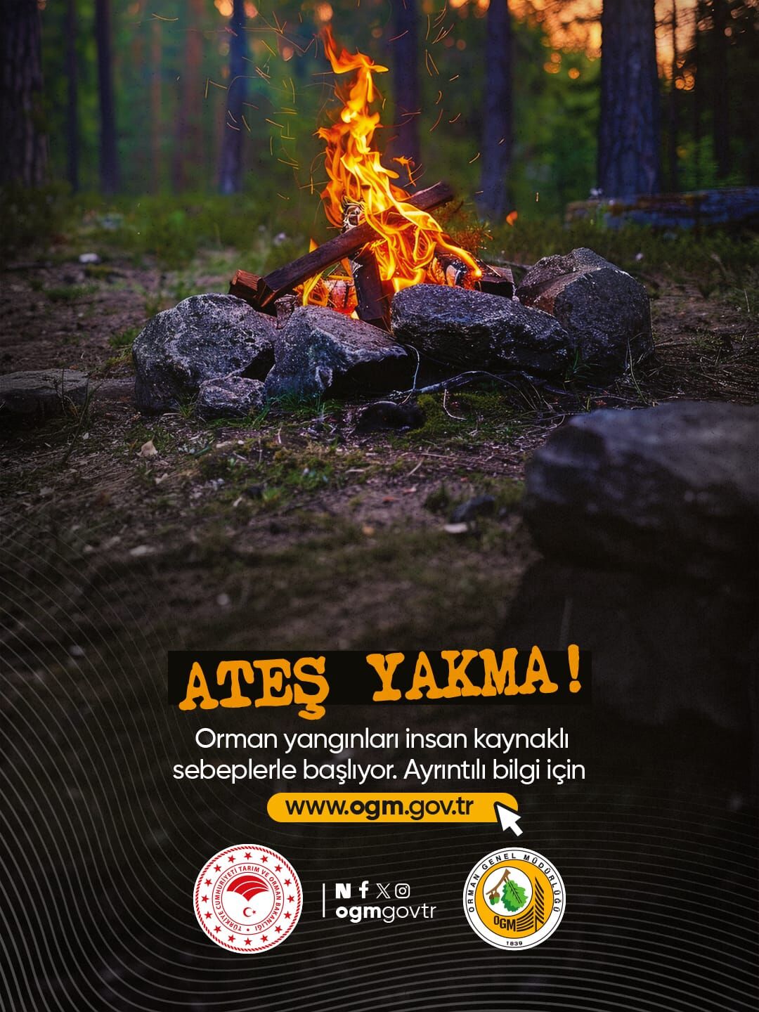 Fire (1)
