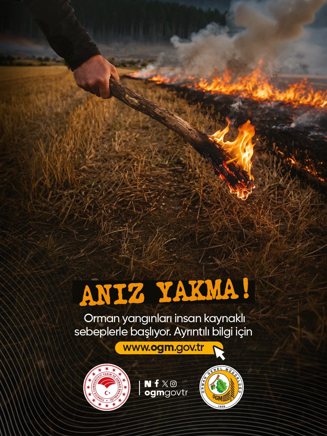 Fire (5)