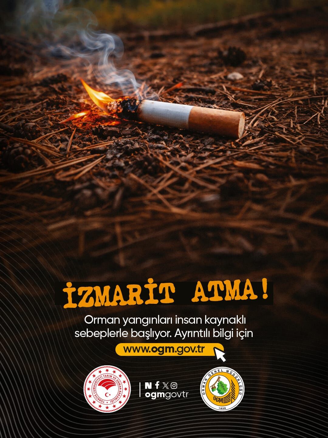 Fire (4)