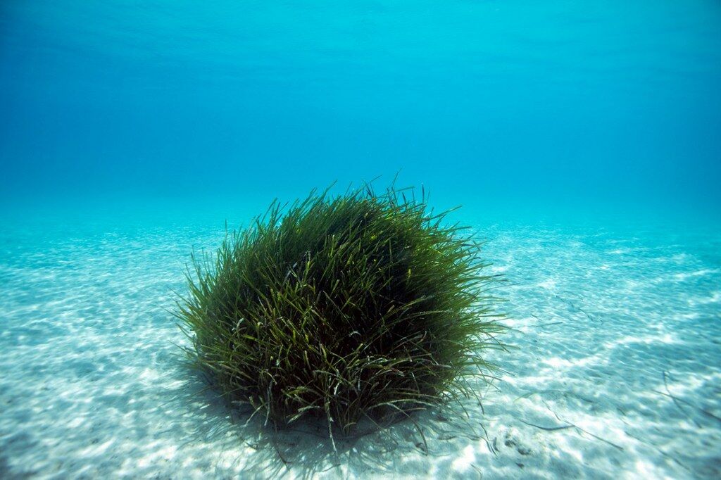 Bodrum Sualtı (2) 1024X682
