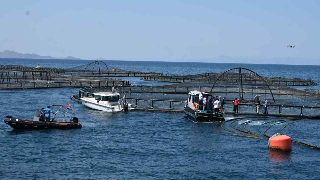 Bakan Yumaklı Milas'ta Su &Uuml;r&uuml;nleri Tesisini İnceledi (2)