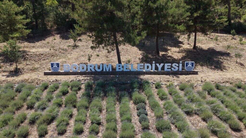 Bodrum Tarım (3) 1024X576