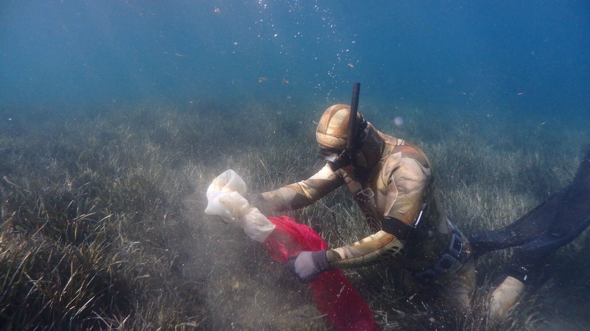 Underwater Cleaning This Time Was at Gündoğan Bay (12)