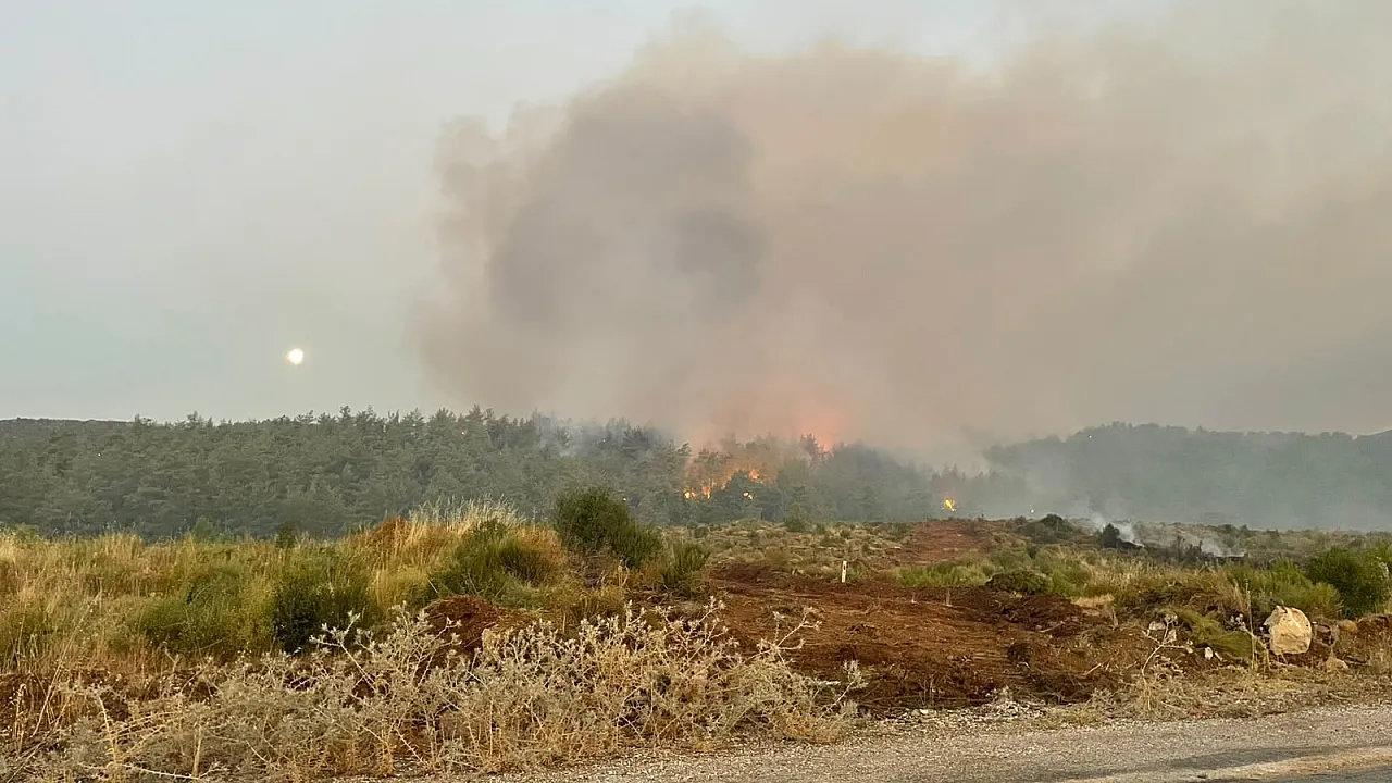 Tough fight with flames continues in Fethiye Yeşilüzümlü