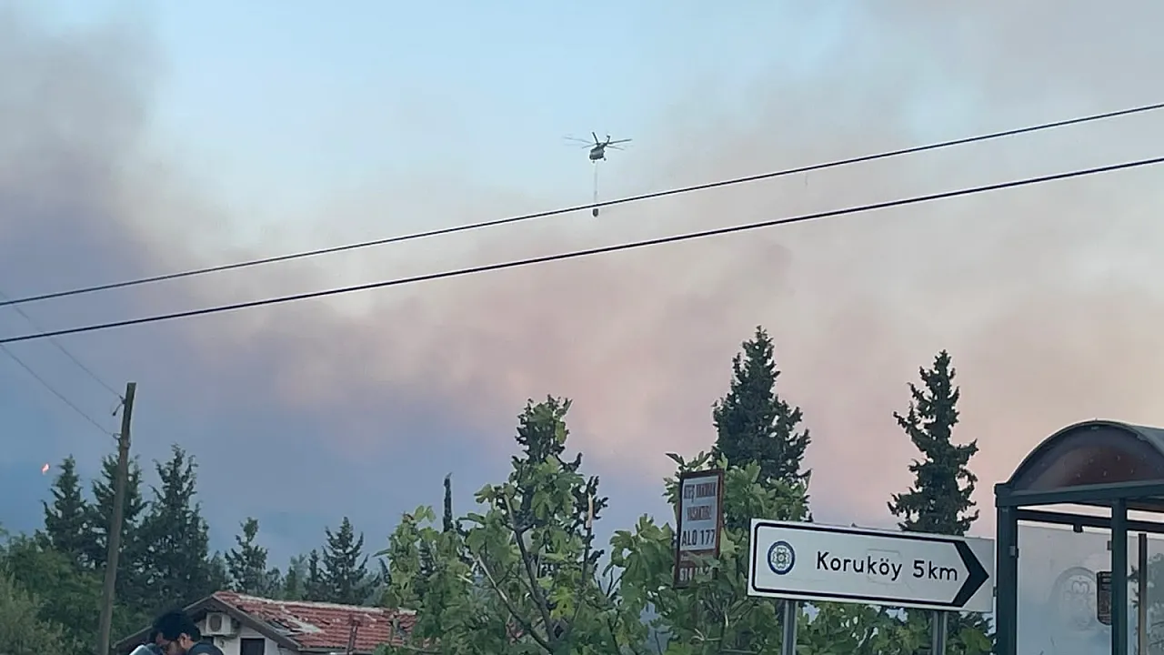 Tough fight with flames continues in Fethiye Yeşilüzümlü