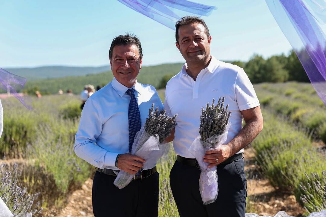 Purple Harvest in Muğla Started with a Festival