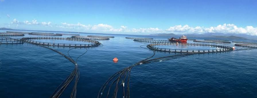 Muğla Doubled Its Imports in Exports