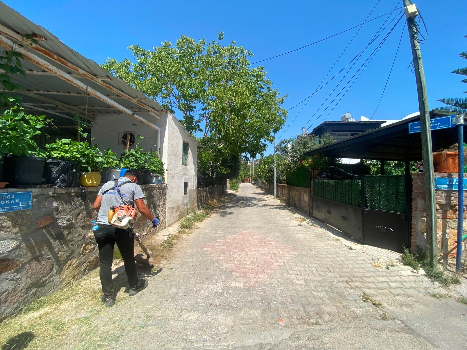 Bodrum&rsquo;da Yangın Riskine Karşı Ot Temizliği S&uuml;r&uuml;yor (3)