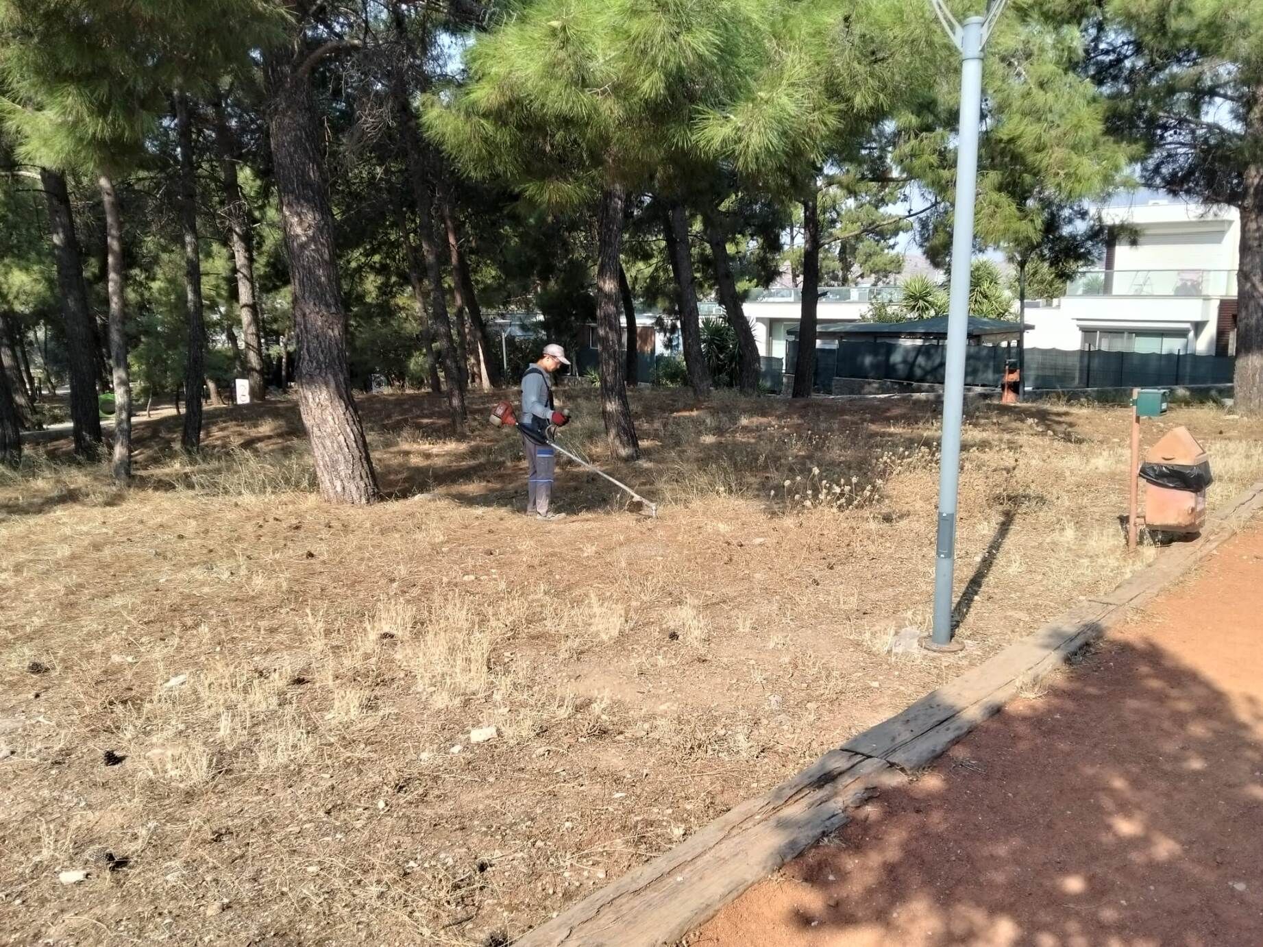 Bodrum&rsquo;da Yangın Riskine Karşı Ot Temizliği S&uuml;r&uuml;yor (1)