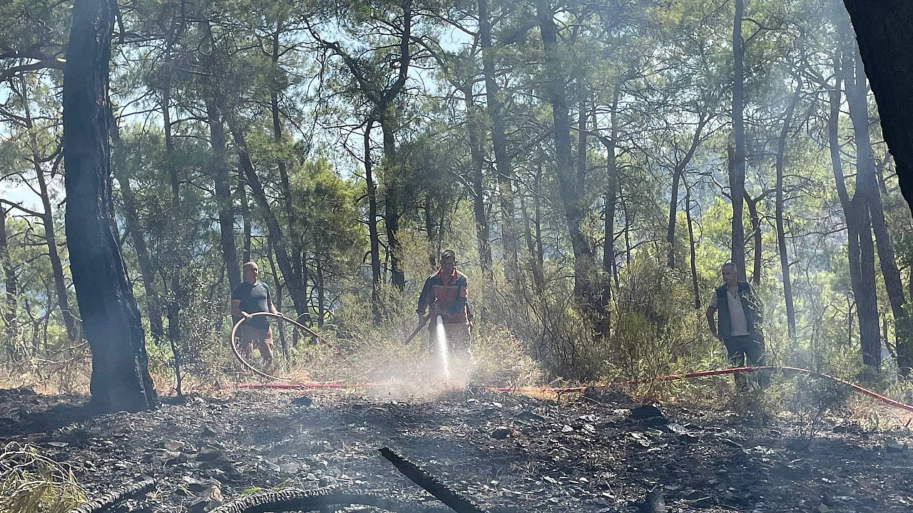 Fethiye'de Ara&ccedil; Yangını Ormana Sı&ccedil;radı: Yangın B&uuml;y&uuml;meden S&ouml;nd&uuml;r&uuml;ld&uuml;