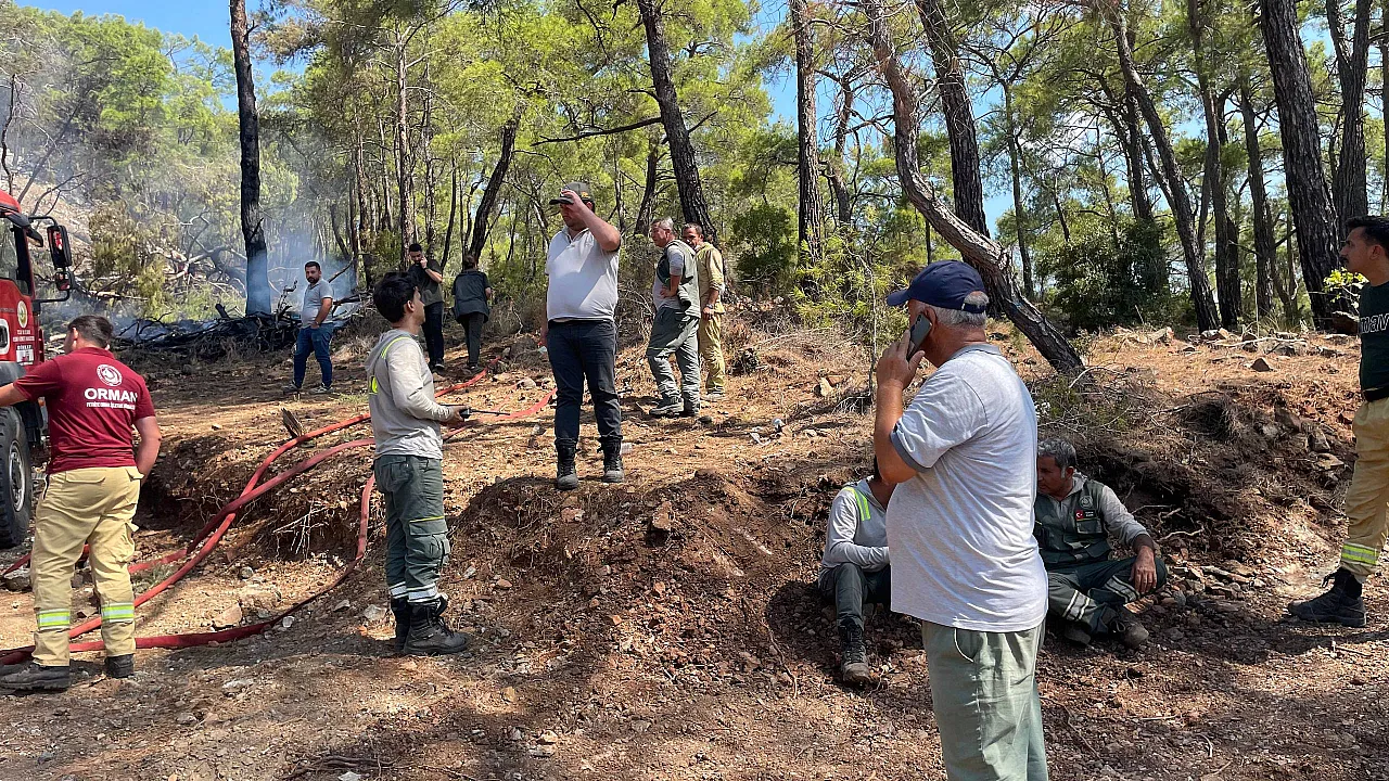 Fethiye'de Ara&ccedil; Yangını Ormana Sı&ccedil;radı: Yangın B&uuml;y&uuml;meden S&ouml;nd&uuml;r&uuml;ld&uuml;