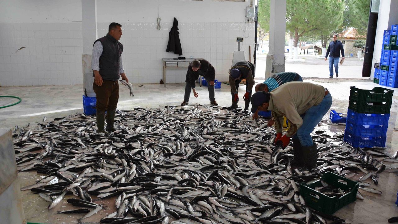 Muğla’nın ihracatı Nisan ayında artış gösterdi