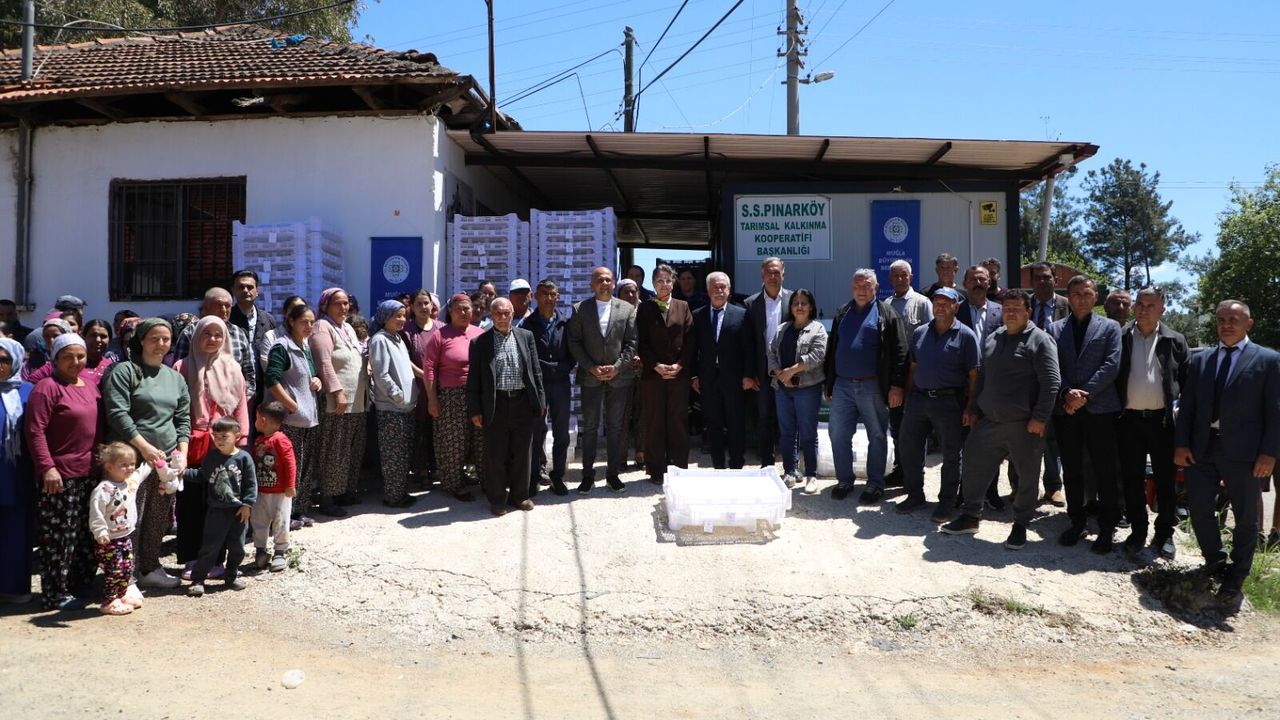 İpek Böceği İçin Büyük Destek