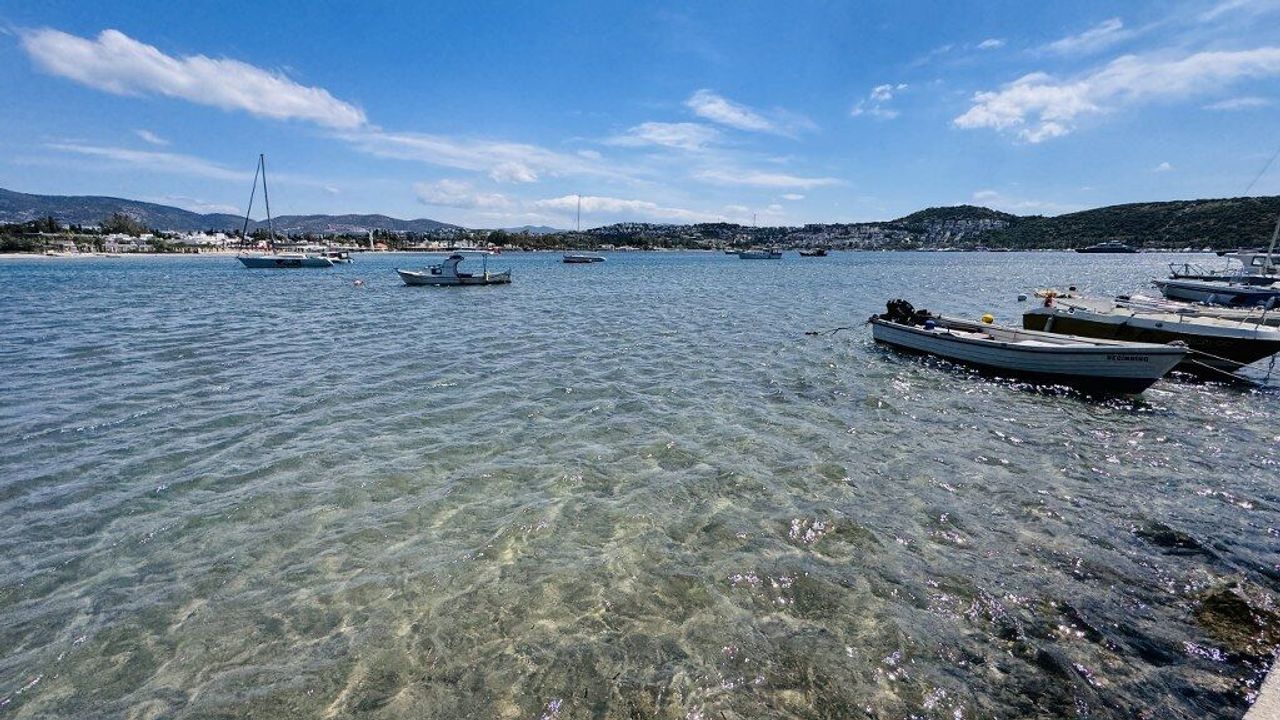 Sea water is warming: There are places with 25-26 degrees